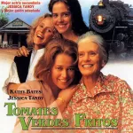 Pôster do filme Tomates Verdes Fritos com quatro mulheres sorrindo, representando amizade, liberdade e força feminina criativa ao longo do tempo.
